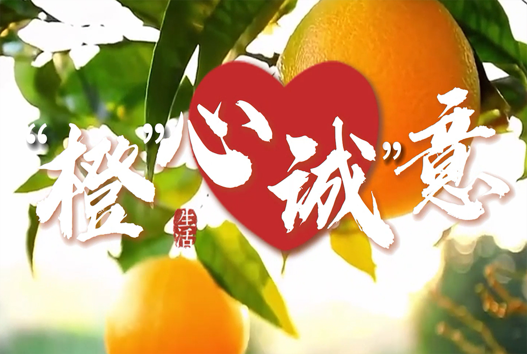 商业类优秀奖作品：《橙心橙意》
